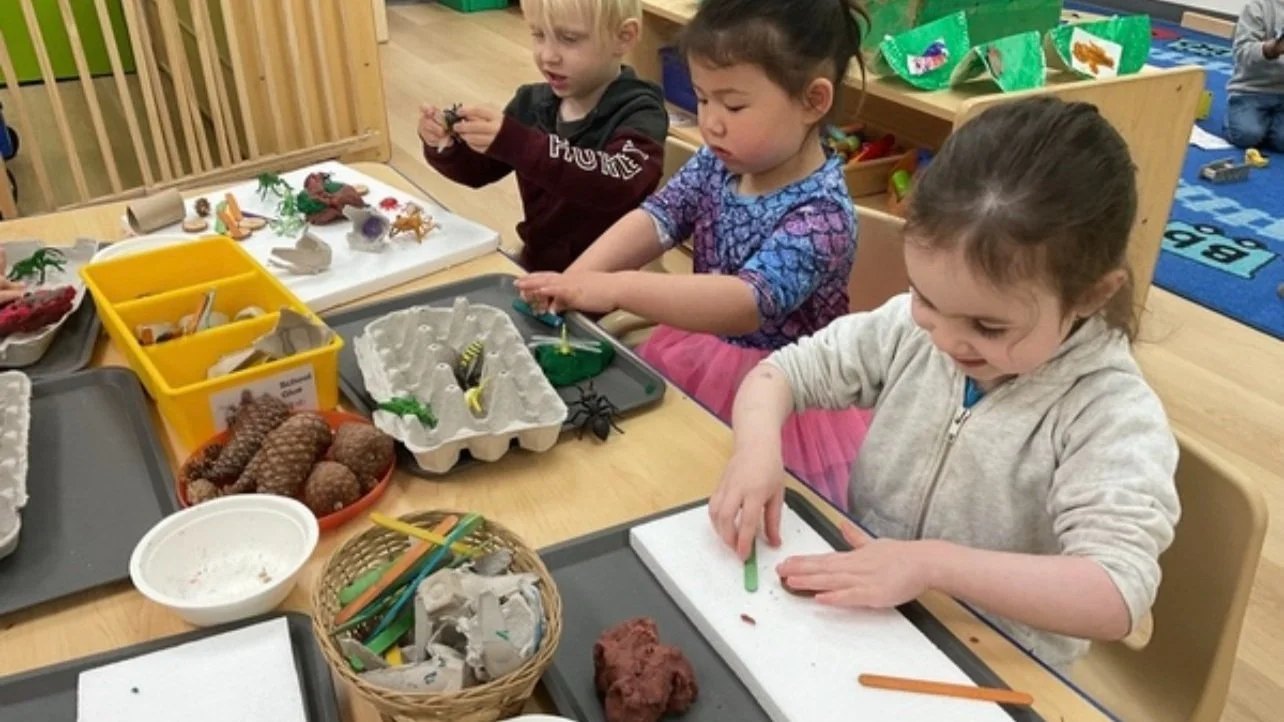 Apple Tree toddlers working side by side at a nature-themed sensory table